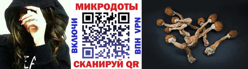 Купить  Мариинский Посад  Галлюциногенные грибы Cubensis 